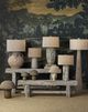 Currey & Company Faux Birch Gray/White Table Lamp-5