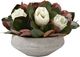 D&W Silks Artificial Magnolia Blooms 19"-0