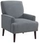 Elements International Kiwi Gray Accent Chair-0