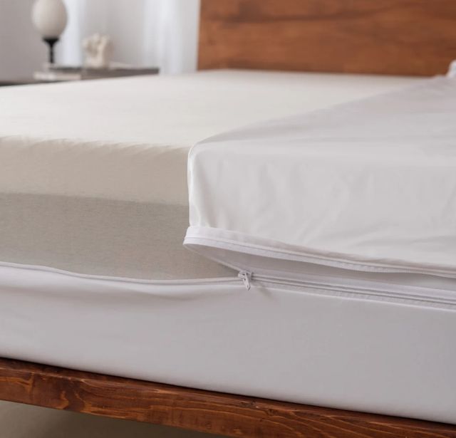 SlumberShield® Queen Foundation Encasement-1