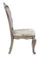 ACME Furniture Ariadne 2-Piece Antique Platinum/Beige Side Chair Set-4