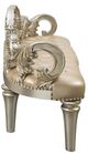 ACME Furniture Danae Champagne/Gold Bench-4