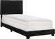 Crown Mark Erin Black Youth Twin Upholstered Panel Bed-0