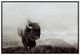 Crestview Collection Bison Life Wall Art-0