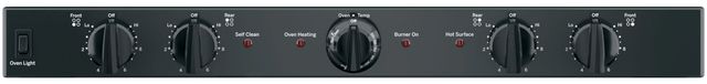 GE® 30" Stainless Steel Free Standing Electric Range-1