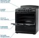 Element® 30” Black Freestanding Gas Range-1