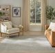 Nourison Home™ Envy Gray 5'x8' Area Rug-1