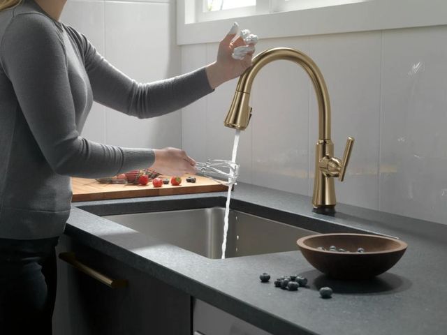 Delta Coranto® Champagne Bronze Single Handle Kitchen Faucet With Touch2O® Technology-3