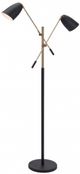 Zuo® Modern Tanner Matte Black/Brass Floor Lamp-0
