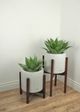 Le Present Agave Green 18" Faux Botanical-5