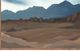 Classic Home Desert Painting by Buddy Whitlock-1