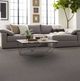 Shaw® Floors Simply The Best Transform Steel Beam Carpet-5