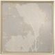 Stylecraft Sea Coral II Beige/Gold/White Wall Art-0