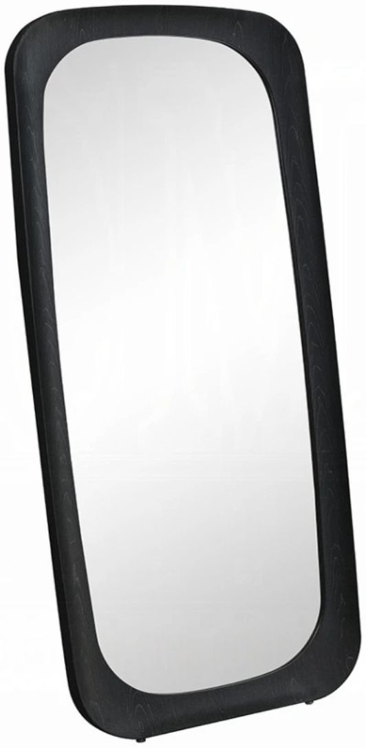 ACME Furniture Izusa Black Floor Mirror-3