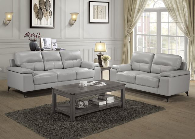 Mazin Furniture Mischa Silver Gray Sofa-3