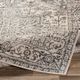 Surya City Light Beige/Light Gray 4'x6' Area Rug-4