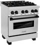 ZLINE Autograph Edition Legacy 30" Stainless Steel Pro Style Dual Fuel Range with Matte Black Accents-3