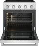 Thor Kitchen S Series 30" Pro Style Electric Range-1