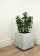 Le Present Jade Green 24" Faux Botanical Plant-3