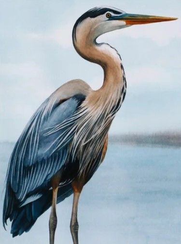 Stylecraft Back Bay Heron I Beige/Blue/Brown/Gray Wall Art-1