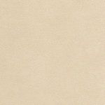 Brentwood Classics Adesso Dorian Bella Buckwheat Chair-1