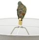 A & B Home Cabrini Lamp with Smoked Glass Shade-2