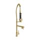 ZLINE Van Gogh Champagne Bronze Kitchen Faucet-0