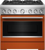 Scorched Orange