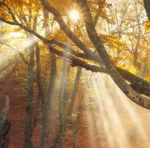 Classy Art Rays of Light Wall Art-2