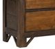 Legacy Classic Lake House Dried Tobacco/Pinecone Chest-1