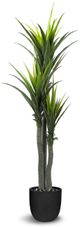 Le Present Dracaena Green Faux Botanical-0