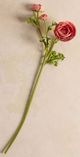 Magnolia Home by Joanna Gaines Peach Real Touch Ranunculus Bud and Bloom-0