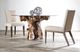 Hammary® Hidden Treasures Glass Top Root Ball Dining Table with Brown Base-1