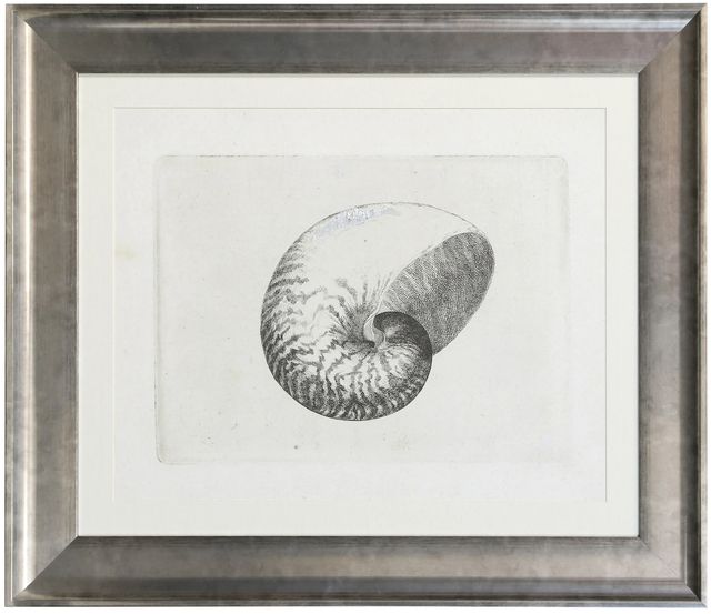 Stylecraft Chambered Nautilus Wall Art-0