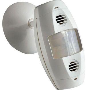 Click to view more images of the product.