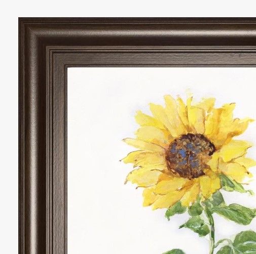 Classy Art Sunflower II by Sally Swatland Framed Wall Art-1