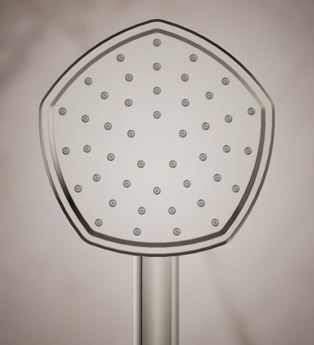 KOHLER® Occasion® Vibrant Polished Nickel 2.5 GPM Single-Function Handshower-2