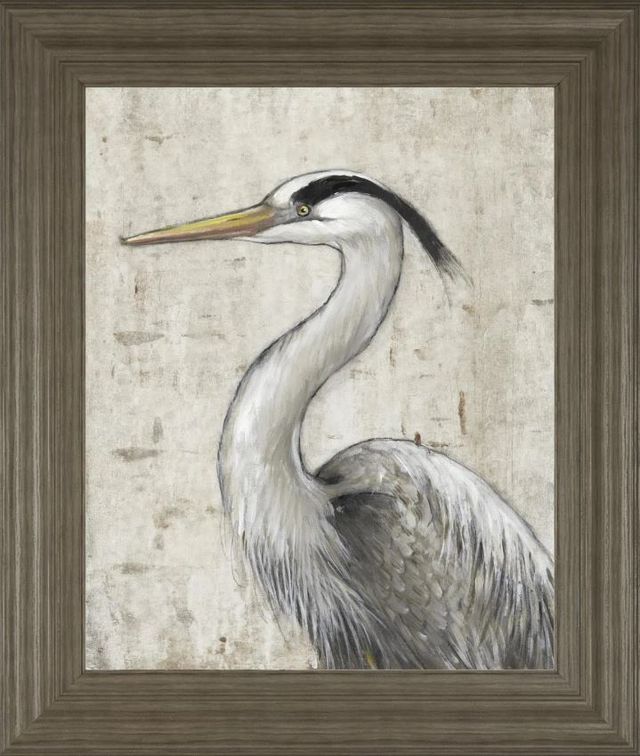 Classy Art Gray Heron II by Tim O'Toole Wall Art-0