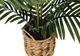 Monarch Specialties Inc. Green/Natural 24" Tall Artificial Potted Palm-1