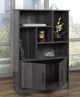 Kwality Imports Ziva Talisa Oak Bookcase-2