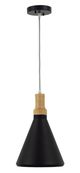 YHD Black 1-Light Pendant-0