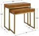 Uttermost® Burl-esque Brown 2-Piece Nesting Table with Brushed Brass Frame-2