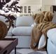CordaRoy's® Tan XXL Throw Blanket-2
