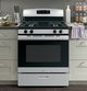 GE® 30" Stainless Steel Freestanding Gas Range-1