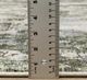 Oriental Weavers™ Caravan 8'x11' Style 1 Area Rug-5