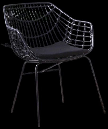 Furniture of America® Livana 2-Piece Black Fabric/Rattan/Steel Outdoor Chair Set-0