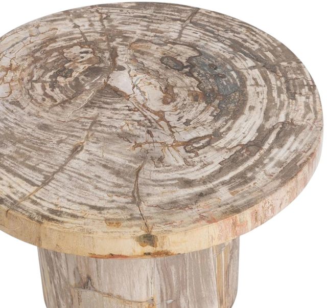 Classic Home Janelle Sepia Vein Small Accent Table-3