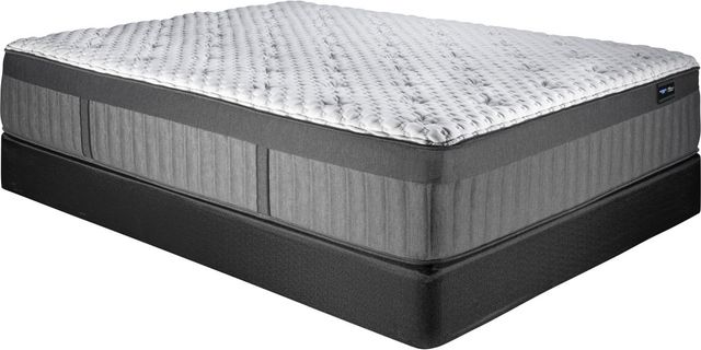Spring Air® Back Supporter Michelle 16.5" Hybrid Firm Tight Top Queen Mattress-0