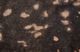 Feizy Ellyse Copper Cowhide-1