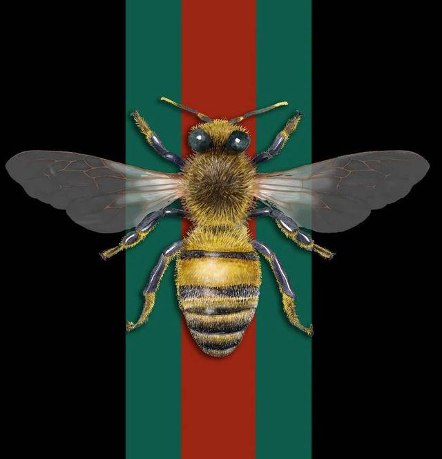 Classy Art Queen Bee Wall Art-0
